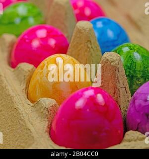 Colored chicken eggs in the packaging Stock Photo
