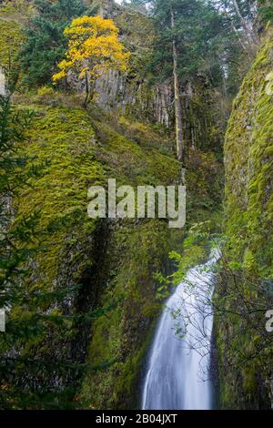 Wahkeena Falls in the Columbia River Gorge near Portland in the state of Oregon, USA. Stock Photo