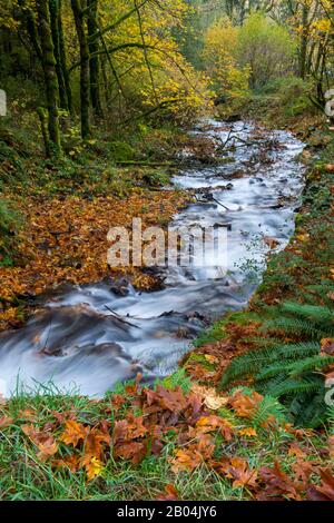 Creek at Wahkeena Falls in the Columbia River Gorge near Portland in the state of Oregon, USA. Stock Photo
