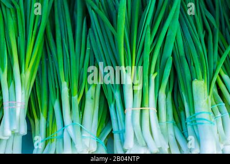 green onion with chives on display closeup green onion texture. Raw greens, vitamin salad. Healthy nutrition, diet food. Stock Photo