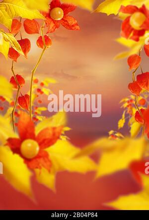 yellow red empty art floral background with frame of golden leaves and fizalis flowers, copy space in center Stock Photo