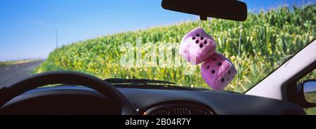 Fuzzy dice hanging from the rear-view mirror of a car, Washington State, USA Stock Photo