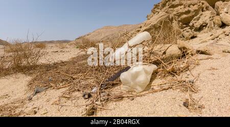 Plastic garbage stuck in the bushes on a desert background with a bird feather, ecocatastrophe Stock Photo