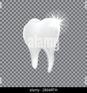 Tooth on transparent background Stock Vector Image & Art - Alamy