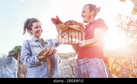 Happy couple picking up fresh organic eggs in henhouse farm at sunset - Young farmers working in summer time - Healthy lifestyle, love, agriculture Stock Photo