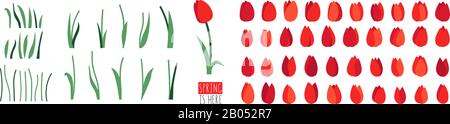 Vector set of floral elements isolated on white background. Red tulip flowers, green leaves, branches, stalks. Clip art for bright festive greeting Stock Vector