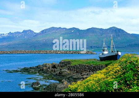 ICELAND, EAST COAST, DJUPAVOGUR FISHING VILLAGE, FISHING BOAT WITH BUTTERCUP FLOWERS Stock Photo