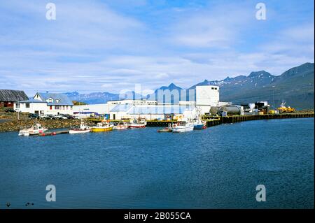 ICELAND, EAST COAST, DJUPAVOGUR FISHING VILLAGE, VIEW OF DOCK AND FISH FACTORY Stock Photo