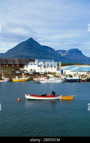 ICELAND, EAST COAST, DJUPAVOGUR FISHING VILLAGE, VIEW OF DOCK AND FISH FACTORY Stock Photo