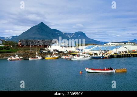 ICELAND, EAST COAST, DJUPAVOGUR FISHING VILLAGE, VIEW OF DOCK AND FISH FACTORY Stock Photo