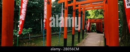 Torii Gates in a park, Ueno Park, Tokyo Prefecture, Kanto Region, Japan Stock Photo