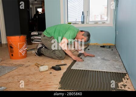 Worker laying gray ceramic floor tiles over a layer of adhesive cement. Stock Photo