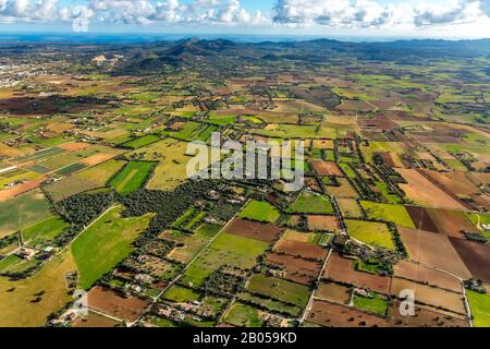 Aerial photo, meadows and fields around Vilafranca de Bonany, Vilafranca de Bonany, Balearic Islands, Spain, Europe, Mallorca, Balearic Islands, view Stock Photo