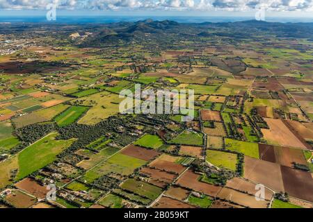 Aerial photo, meadows and fields around Vilafranca de Bonany, Vilafranca de Bonany, Balearic Islands, Spain, Europe, Mallorca, Balearic Islands, view Stock Photo