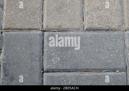 Image of a light gray brick floor with some pine leaves in the grooves between the bricks Stock Photo
