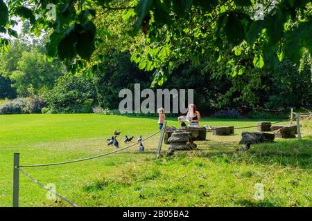 York, JUL 15: Exterior view of the Museum Gardens on JUL 15, 2011 at York, United Kingdom Stock Photo