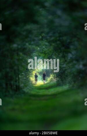 Two young men running on sunny forest path during summer. Stock Photo