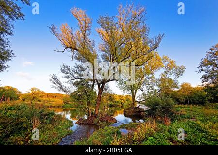 Elbsche river mouth in the Ruhr river near Wengern, Germany, North Rhine-Westphalia, Ruhr Area, Wetter/Ruhr Stock Photo