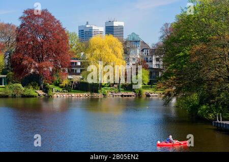 copper beech (Fagus sylvatica var. purpurea, Fagus sylvatica 'Atropunicea', Fagus sylvatica Atropunicea), pond Feenteich and park trees in spring on the Alster, Germany, Uhlenhorst und Harvestehude, Hamburg Stock Photo