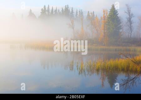 Morning haze in Oppdal, Norway, Trondelag, Oppdal, Ottadalen Stock Photo