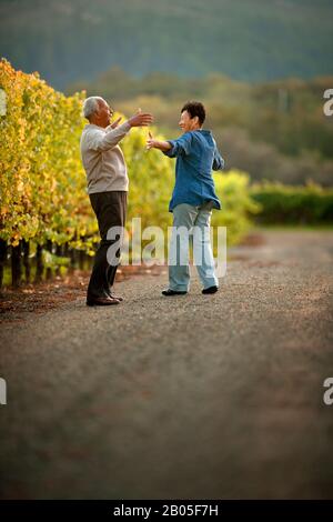 Senior couple dancing in a vineyard. Stock Photo