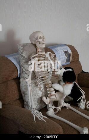 Skeleton sat on sofa with dog, Droitwich Spa, England, United Kingdom, 8/02/2020,  Skeleton sat on sofa with dog fun for halloween ideal for posters a Stock Photo