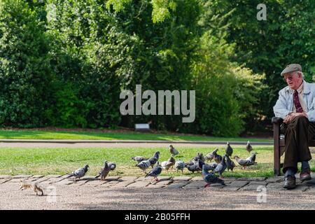 York, JUL 15: Exterior view of the Museum Gardens on JUL 15, 2011 at York, United Kingdom Stock Photo