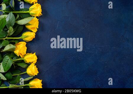 Top view of beautiful yellow roses on dark blue background Stock Photo