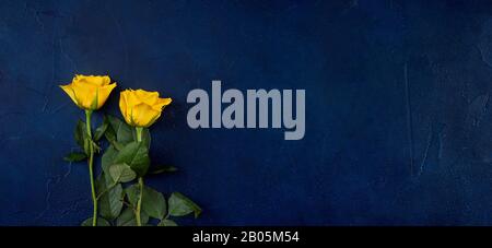 Phantom blue color and yellow roses on vintage background Stock Photo