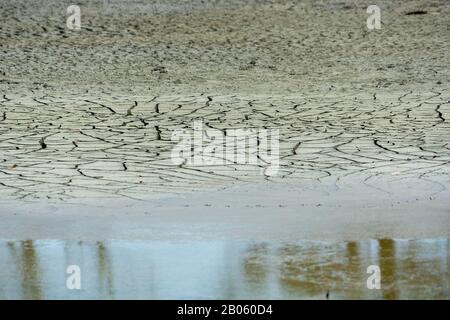 Dry weather and drought conditions occur the land in salt marsh wetlands dries up and cracks. Stock Photo