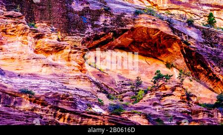 Cliff Overhang and Vegetation on the side Lady Mountain along the Emerald Pools Trail in Zion National Park, Utah, United States Stock Photo