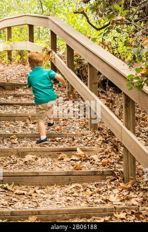 Boy walking to the future on Wooden Stairs outdoors with Fall foliage Stock Photo