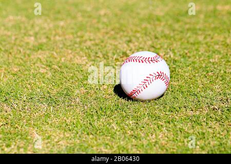 Child or Childrens Baseball in Grass Stock Photo