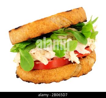 Chicken and mayonnaise sandwich with tomato and watercress isolated on a white background Stock Photo