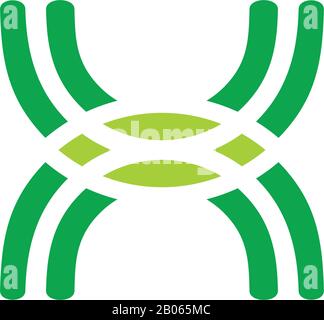 curves geometric line leaf shape abstract logo vector Stock Vector