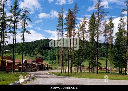 CANADA, ALBERTA, NEAR CALGARY, BAR C RANCH RESORT, HORSE STABLES Stock Photo