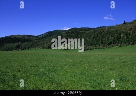 CANADA, ALBERTA, NEAR CALGARY, BAR C RANCH RESORT, ROCKY MOUNTAINS FOOTHILLS Stock Photo