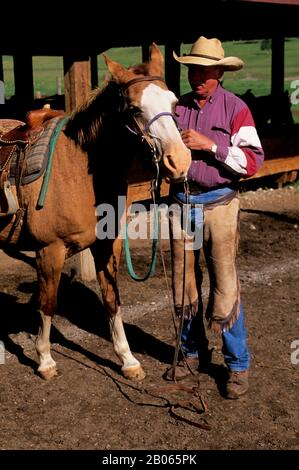 CANADA, ALBERTA, NEAR CALGARY, BAR C RANCH RESORT, HORSE STABLES, COWBOY Stock Photo