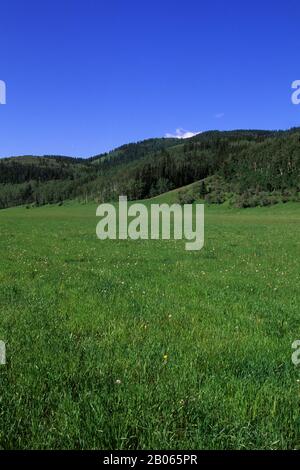 CANADA, ALBERTA, NEAR CALGARY, BAR C RANCH RESORT, ROCKY MOUNTAINS FOOTHILLS Stock Photo