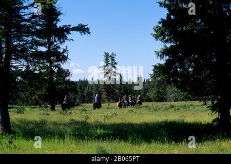 CANADA, ALBERTA, NEAR CALGARY, BAR C RANCH RESORT, PEOPLE ON HORSEBACK Stock Photo