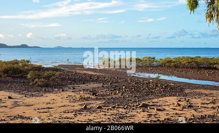 Mangrove plants on the waters edge of a coastal beach with rocky sand Stock Photo