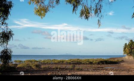 Mangrove plants on the waters edge of a coastal beach with rocky sand, framed by leaves against the sky Stock Photo