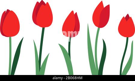 Bright vector layout with red tulip flowers and green leaves isolated on white background. Empty place for text. Minimal design concept for banner Stock Vector