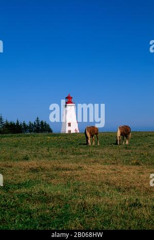 CANADA, PRINCE EDWARD ISLAND, PANMURE ISLAND PROVINCIAL PARK, LIGHTHOUSE, HORSES Stock Photo