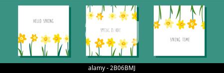 Vector set of greeting card templates with branches of yellow narcissus flowers and green leaves. Design for banner, invitation, promotion offer Stock Vector