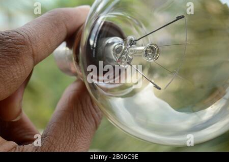 Hand holding a Tungsten Bulb Stock Photo
