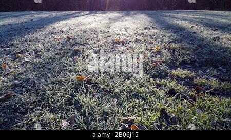 Ice frozen grass and leafs on morning in meadow, savoy, france Stock Photo