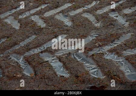 Broad tracks of a tractor on frozen ground Stock Photo