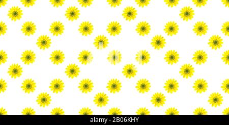 Simple seamless pattern with flowers. Yellow flowers on a white background. Design for textile, fabric and wrapping paper. Stock Photo