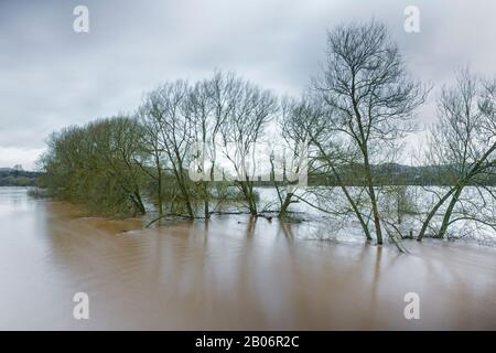 Record breaking high water levels in the river Wye at Monmouth, February 2020. Stock Photo